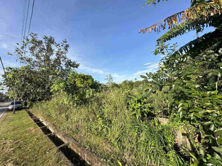 viber image 2025 01 13 14 42 56 582 768x576