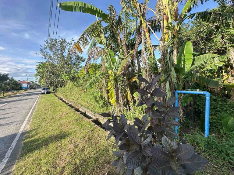 viber image 2025 01 13 14 42 56 630 768x576